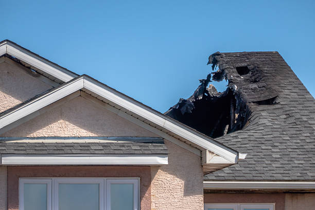 Top rated local Fire Damage Removal specialists in Point Pleasant, NJ